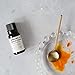 Erbology - Organic Sea Buckthorn Oil (30ml)