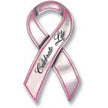 Celebrate Life Ribbon Visor Clip