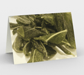 Set of 3 Blank Greeting Cards | 5 x 7 | Crispy Sage