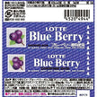 Lotte Blueberry Gum (26G)