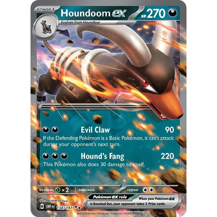 Houndoom ex (134/197) (OBF)