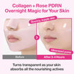 numbuzin No.2 Rose PDRN Overnight Collagen Mask 37ml - 1 BOX/ 4 PC