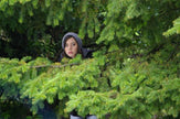 Safety Not Guaranteed - DVD
