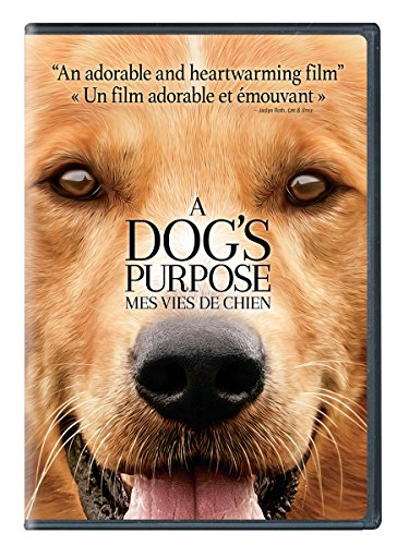 A Dog’s Purpose - DVD (Used)