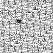 White Packed Cats 108in Quilt Back