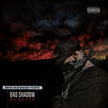 Bad Shadow / Rualité - CD