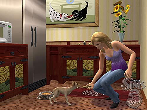 Les Sims 2: Animaux et compagnie