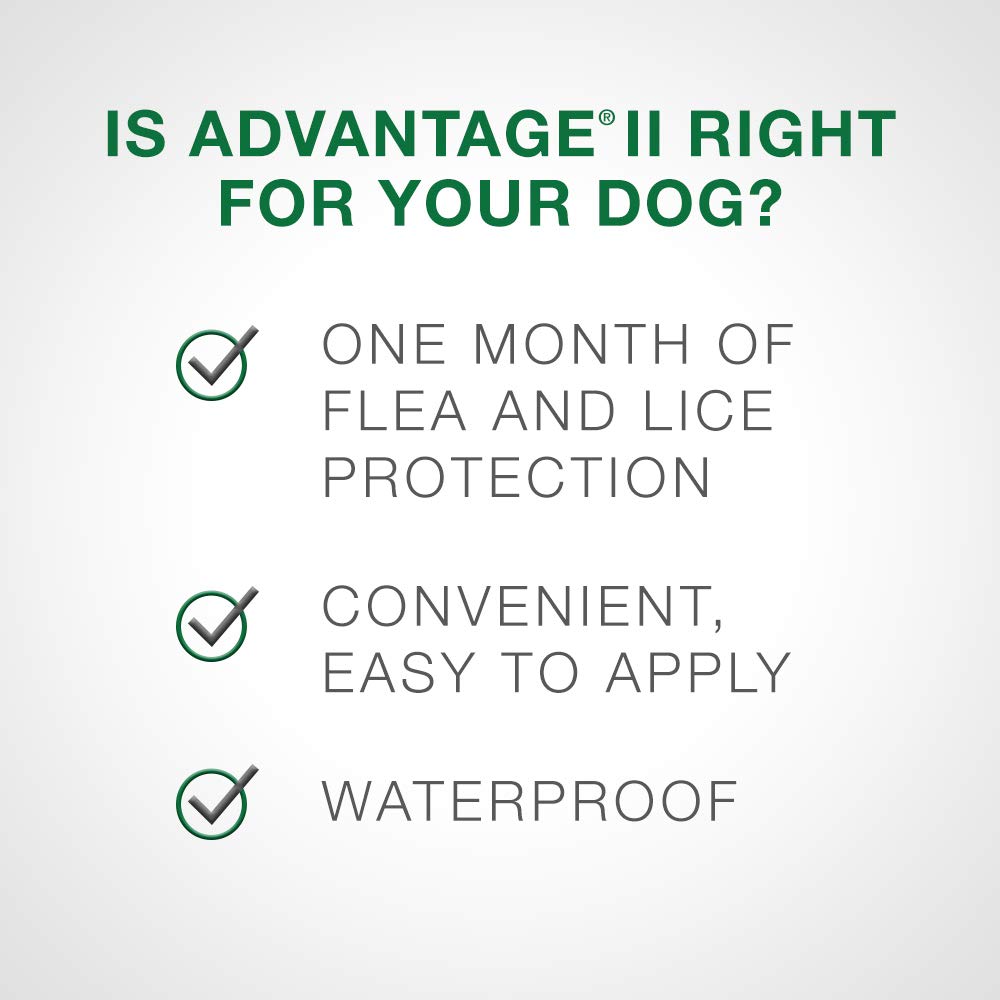 Advantage II - Flea Protection - XL Dogs - Vet Recommended - 2-pack 🍁 All In One Marketplace Canada