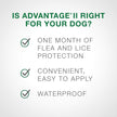 Advantage II - Flea Protection - Large Dog - Vet Recommended - 2-pack 🍁 All In One Marketplace Canada