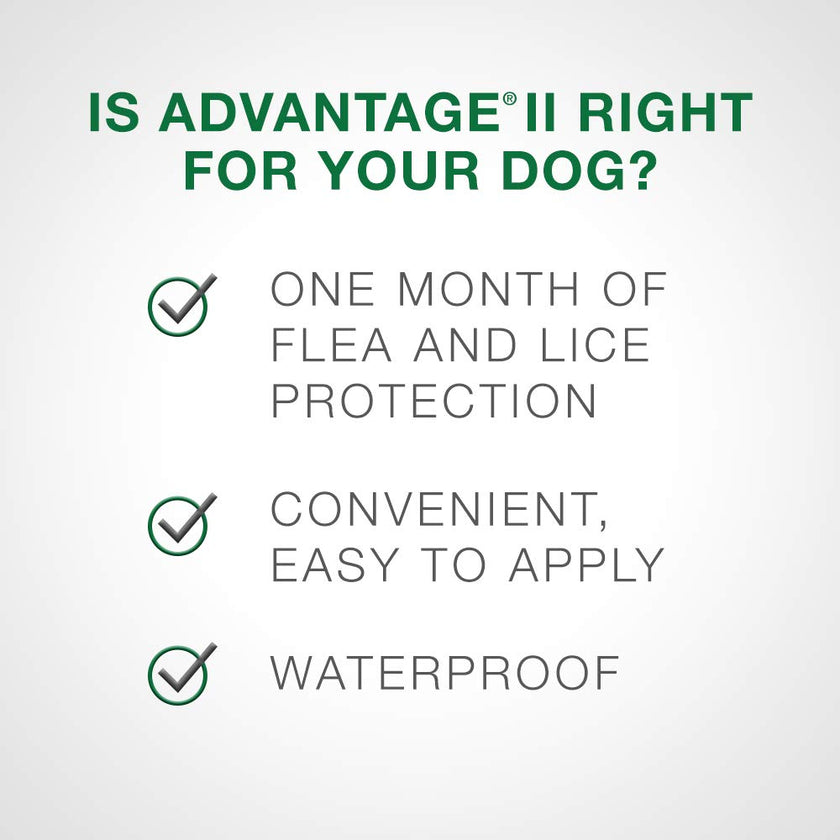 Advantage II - Flea Protection - Large Dog - Vet Recommended - 2-pack 🍁 All In One Marketplace Canada