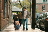Ted - DVD (Used)