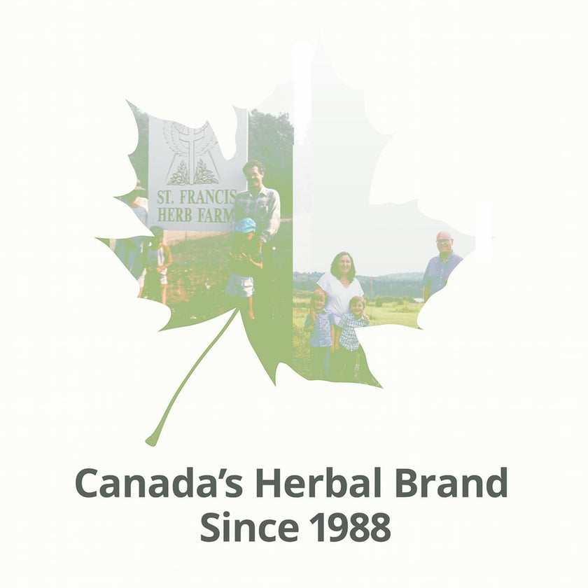 ST FRANCIS HERB FARM Castor Oil (500ml) USDA Certified Organic, Cold Pressed, Hexane-Free, GMO Free, Vegan, Vegetarian, Sealed in Protective Amber Glass (1 Bottle) Hair, Skin, and Nail Care 🍁 All In One Marketplace Canada