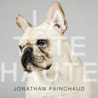 Jonathan Painchaud / La Tete Haute - CD (Used)