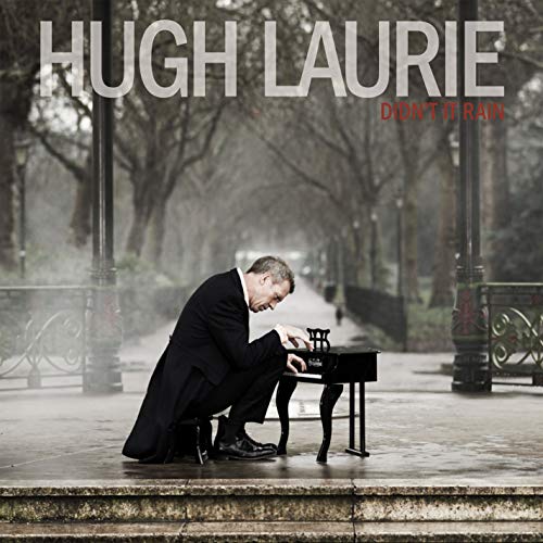 Hugh Laurie / Didn't It Rain - CD (Used)