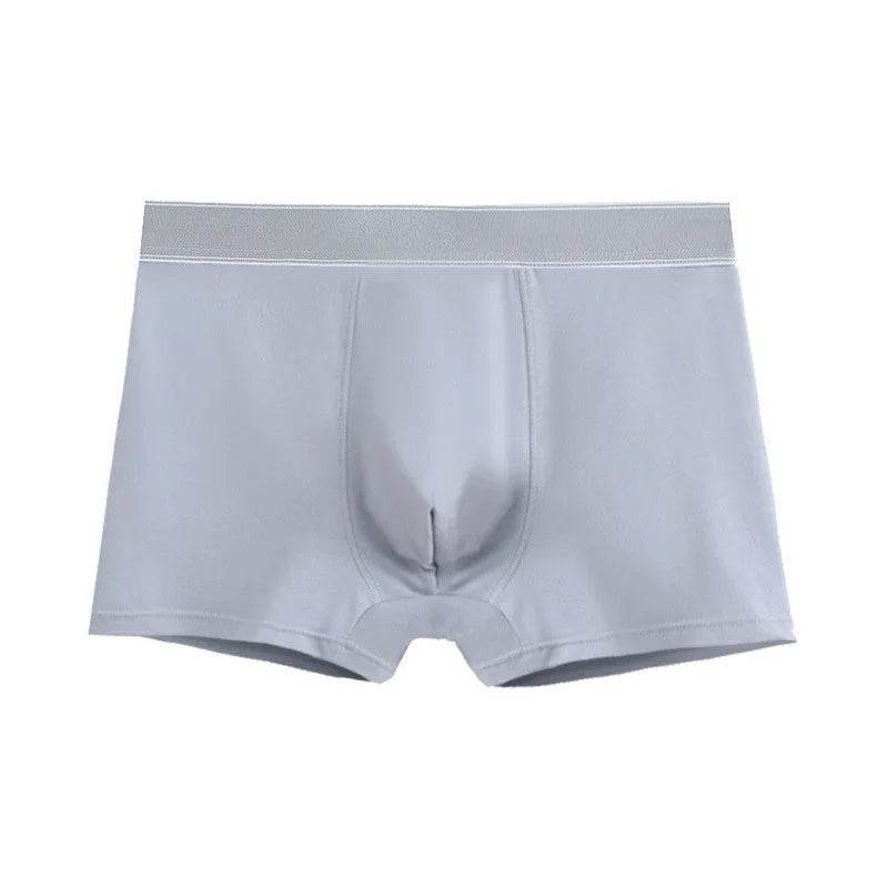 Men's Cotton Graphene Boxers short with pouch Underwear