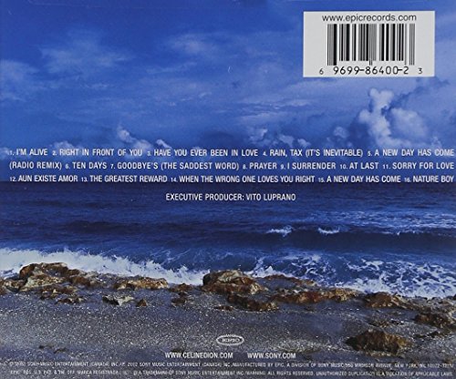 Céline Dion / A New Day Has Come - CD