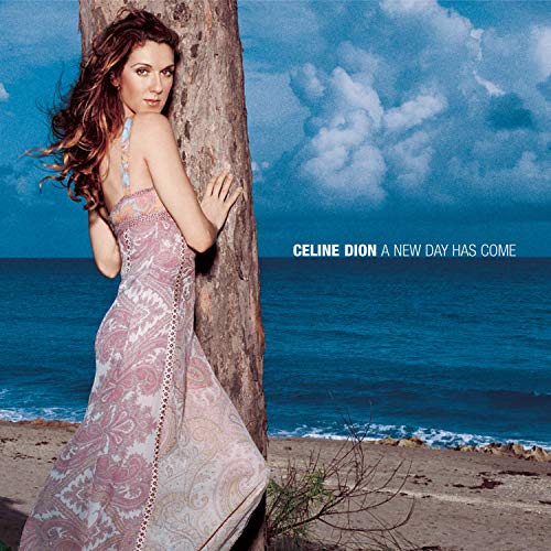 Céline Dion / A New Day Has Come - CD