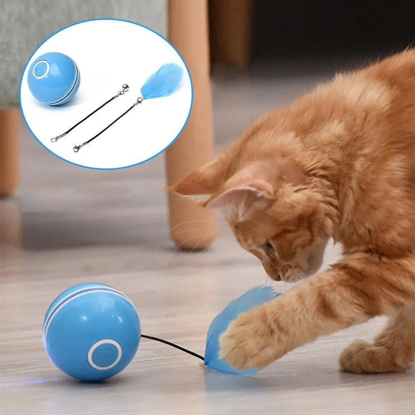 USB Rechargeable LED Rolling Cat Ball Toy with Feather & Bell – Blue, White, Gray, Pink