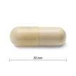 Jamieson Glucosamine 500 mg, Provides Joint Pain Relief, Osteoarthritis Support, and Cartilage Deterioration Protection. Non-GMO, Gluten-Free, 360 Capsules, Proudly Canadian 🍁 All In One Marketplace Canada
