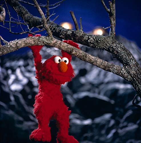 The Adventures Of Elmo In Grouchland - DVD (Used)