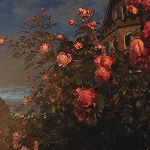 Love (Vinyl)