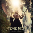 Stevie Nicks / In Your Dreams - CD (Used)