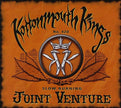 Joint Venture