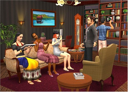 The Sims 2: FreeTime