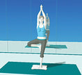 Wii Fit - WII (Used)
