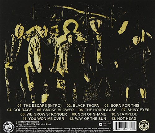 Black Thorn