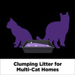 ARM & HAMMER Platinum Cat Litter, Clump & Seal, EXTRA STRENGTH Odour Control with 14 Days of Odour Control, Multi-Cat, Hard Clumping Clay, 99.99% Dust Free, 12.47kg (Pack of 1) 🍁 All In One Marketplace Canada
