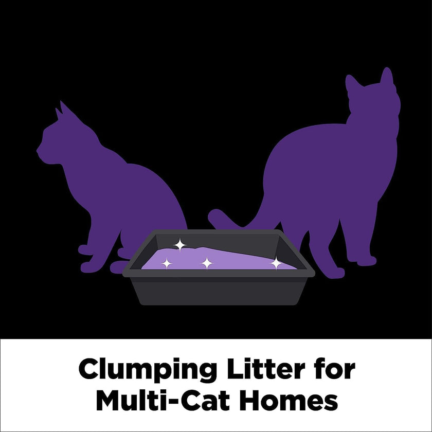 ARM & HAMMER Platinum Cat Litter, Clump & Seal, EXTRA STRENGTH Odour Control with 14 Days of Odour Control, Multi-Cat, Hard Clumping Clay, 99.99% Dust Free, 12.47kg (Pack of 1) 🍁 All In One Marketplace Canada