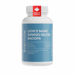 ALL-IN-ONE Lion's Mane 1,600 mg with Ginkgo Biloba 5,500 mg & Bacopa Monnieri 3,600 mg (Per Serving: 2 Capsules) – 3-in-1 Memory, Focus & Cognitive Support – 60 Vegan Capsules – Made in Canada 🍁 All In One Marketplace Canada