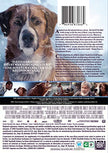 The Call Of The Wild - DVD (Used)