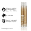 Joico K-PAK Daily Clarifying Shampoo to Remove Buildup, Deep Cleansing For Damaged Hair, Repair and Prevents Breakage, With Keratin and Guajava Fruit Extract, Gold, 300mL 🍁 All In One Marketplace Canada