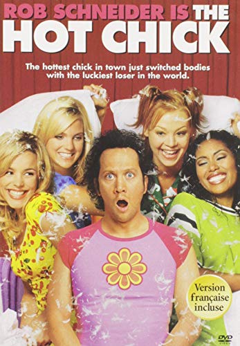 The Hot Chick - DVD (Used)