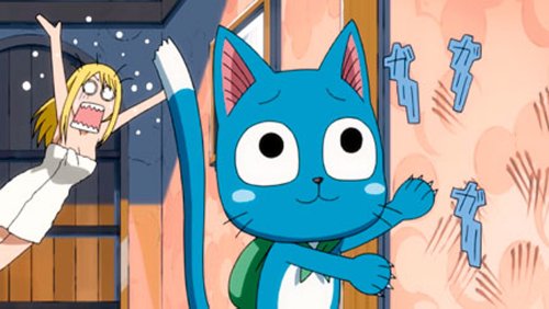 Fairy Tail: Part 1 [Blu-ray + DVD]