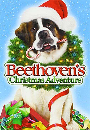 Beethoven's Christmas Adventure - DVD (Used)