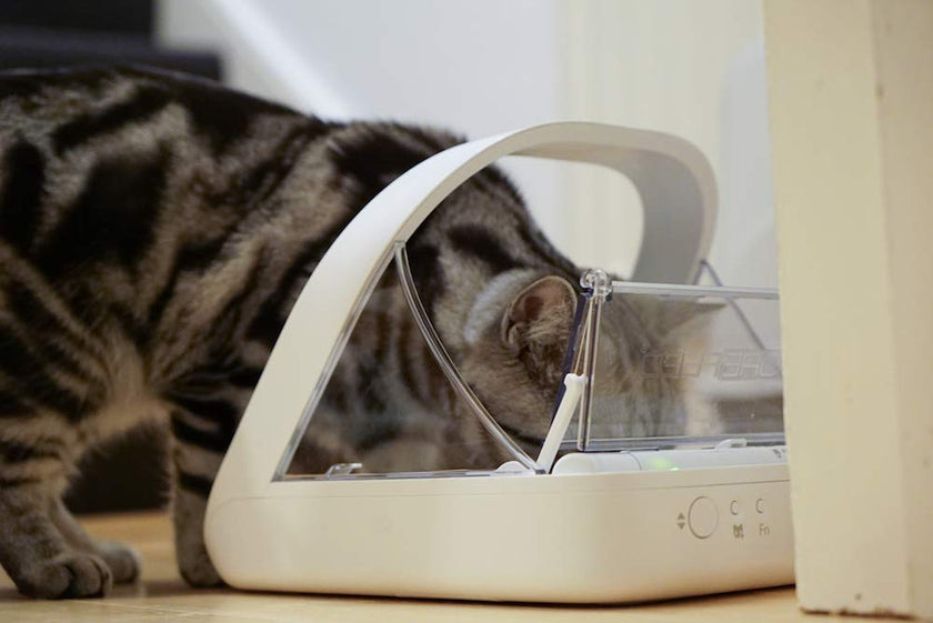 Sure Petcare - SureFeed Microchip Pet Feeder - The Automatic Pet Feeder That Makes Meal Times Stress Free - Helps prevent food stealing - Great for Prescription and Weight Management Diets 🍁 All In One Marketplace Canada