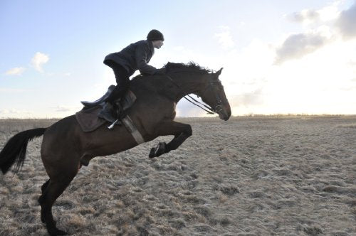 Winter in Wartime (Two-Disc Blu-ray/DVD Combo) [Import]