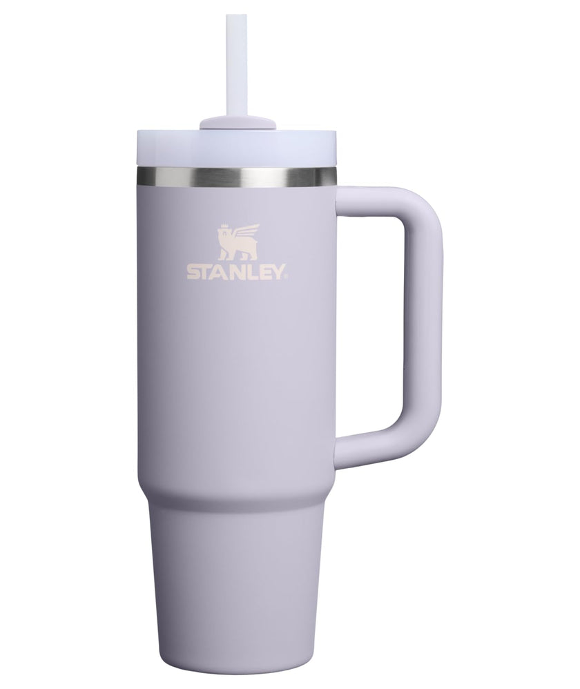 STANLEY Quencher H2.0 Tumbler with Handle and Straw 30 oz | Flowstate 3-Position Lid | Cup Holder Compatible for Travel | Insulated Stainless Steel Cup | BPA-Free | Purple Dust 🍁 All In One Marketplace Canada
