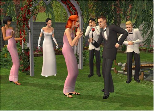 The Sims 2: FreeTime