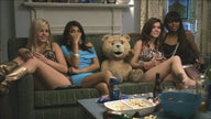 Ted - DVD (Used)