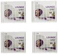 Spirit of Lounge