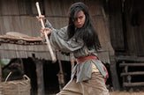 The Golden Cane Warrior [Blu-Ray]^Golden Cane Warrior