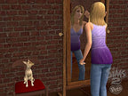 Les Sims 2: Animaux et compagnie