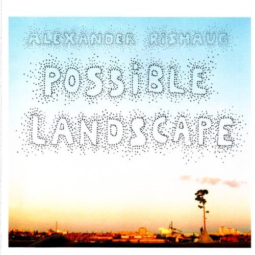 Possible Landscapes
