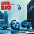 Mr. Big / Bump Ahead - CD (Used)