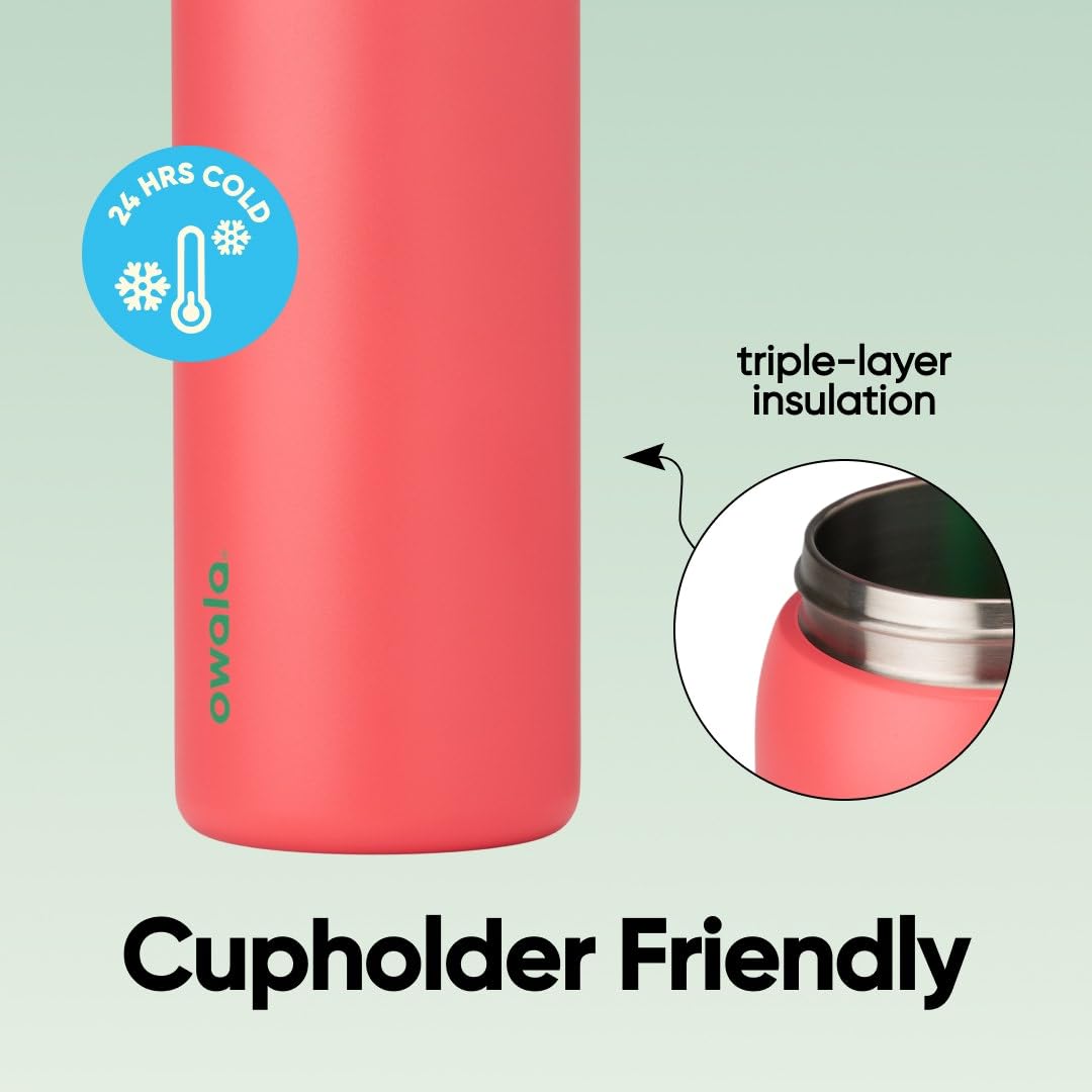 Owala FreeSip Insulated Stainless Steel Water Bottle with Straw for Sports, Travel, and School BPA-Free Sports Water Bottle, 32 oz, Strawberry Field 🍁 All In One Marketplace Canada