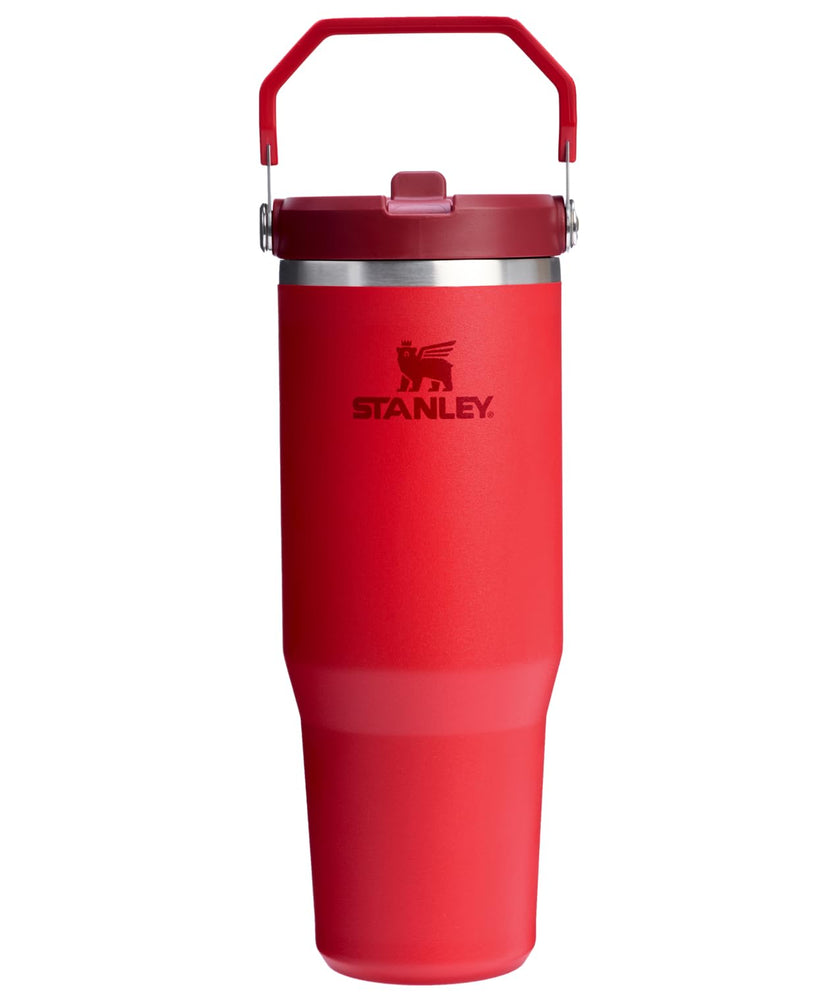 Stanley IceFlow 2.0 Flip Straw Tumbler with Handle 30 oz | Twist On Lid and Flip Up Straw | Leakproof Water Bottle | Insulated Stainless Steel | BPA-Free | Chili Red 🍁 All In One Marketplace Canada
